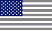 (USA)